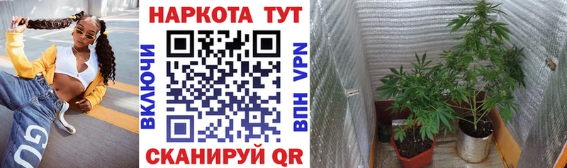 Сколько стоит Ноябрьск A-PVP  ГАШ  MDMA  Cocaine  Марихуана 