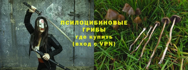 мдпв Лабытнанги