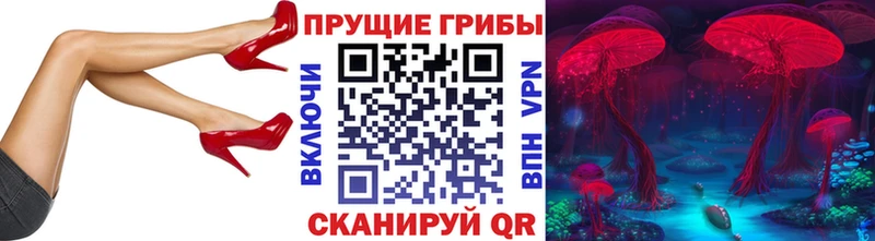 Галлюциногенные грибы прущие грибы  Ноябрьск 